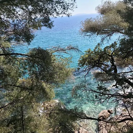 Les Alizes Rayol-Canadel-sur-Mer